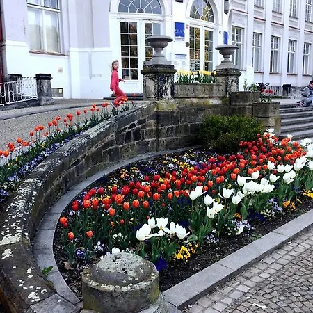 Feel Horova Karlovy Vary